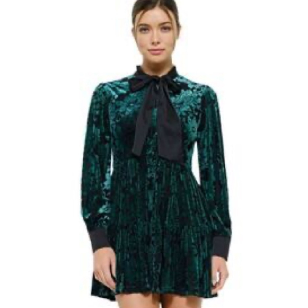 INA Green Velvet Burnout Puff Sleeve Front Bow Tie Mini whimsy goth Dress